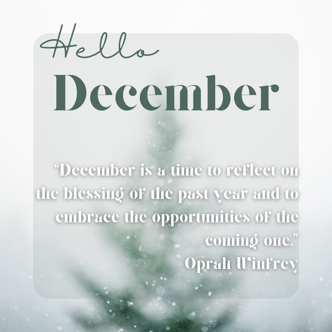 Featured image for “December Newsletter 2023”